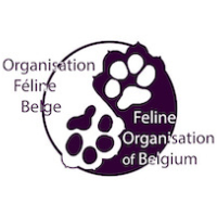 Organisation Féline Belge