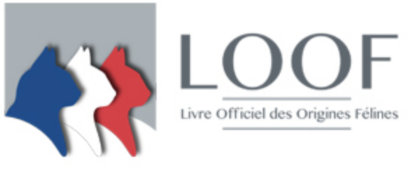 Livre Officiel des Origines Félines